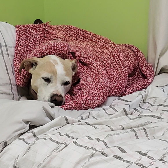 Your Posher, Theresa :) - Picture 2 of 2